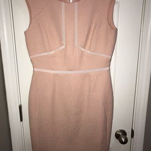Antonio Melani Blush Pink Dress || Size 6